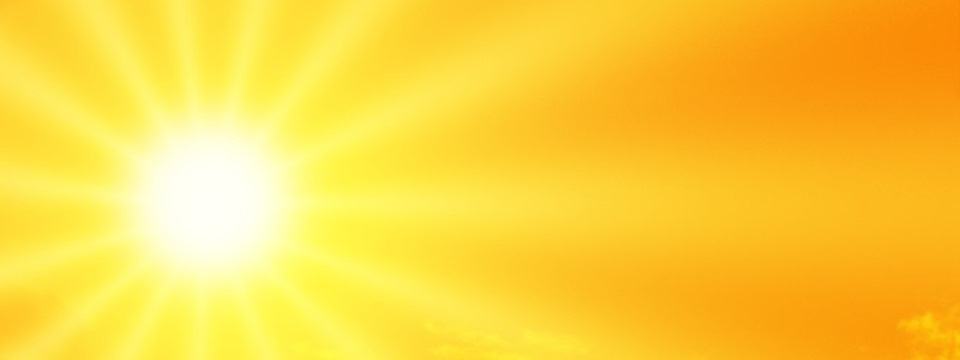 Vitamin D NutriShield Multi Vitamins and Minerals
